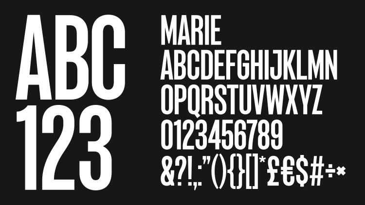 舞蹈公司VI设计